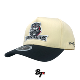 BlackTiger Character 5panel Snapback Cap