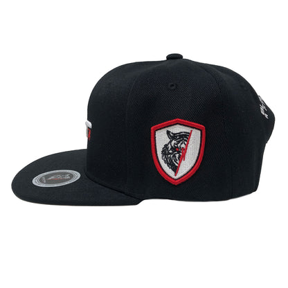 BTA74 3D Puff Embroidery Snapback Cap