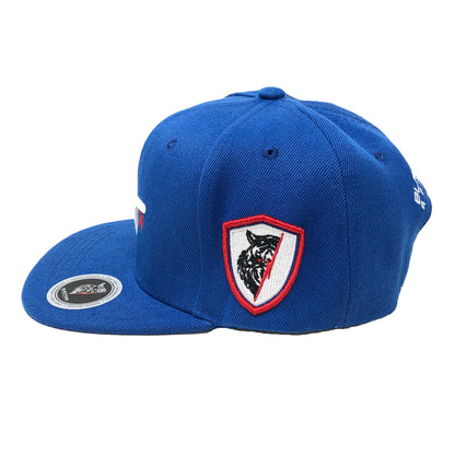 BTA74 3D Puff Embroidery Snapback Cap